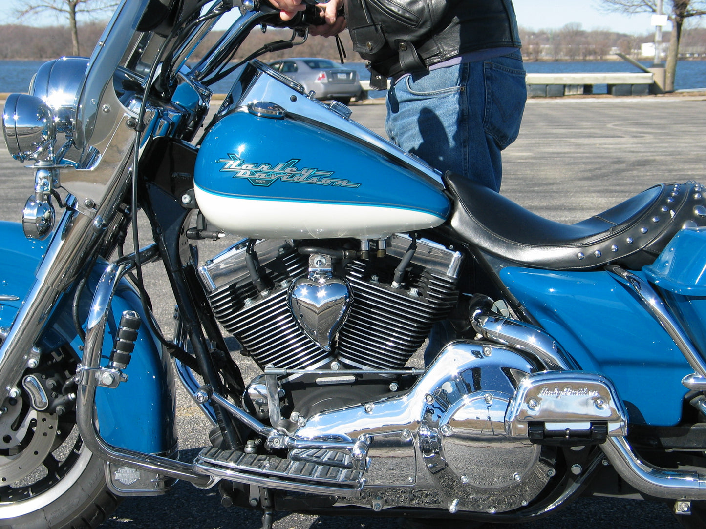 Harley Horn Covers Heart Shaped