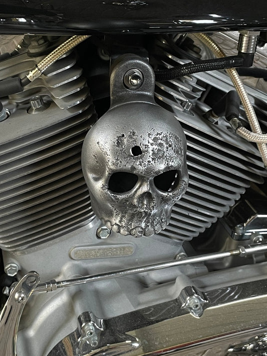 Rotten Kine Skull Harley Horn Cover #11