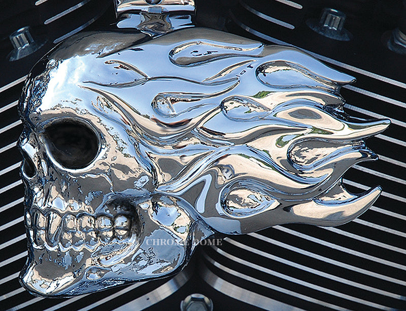 Harley Horn Covers Flaming Skull