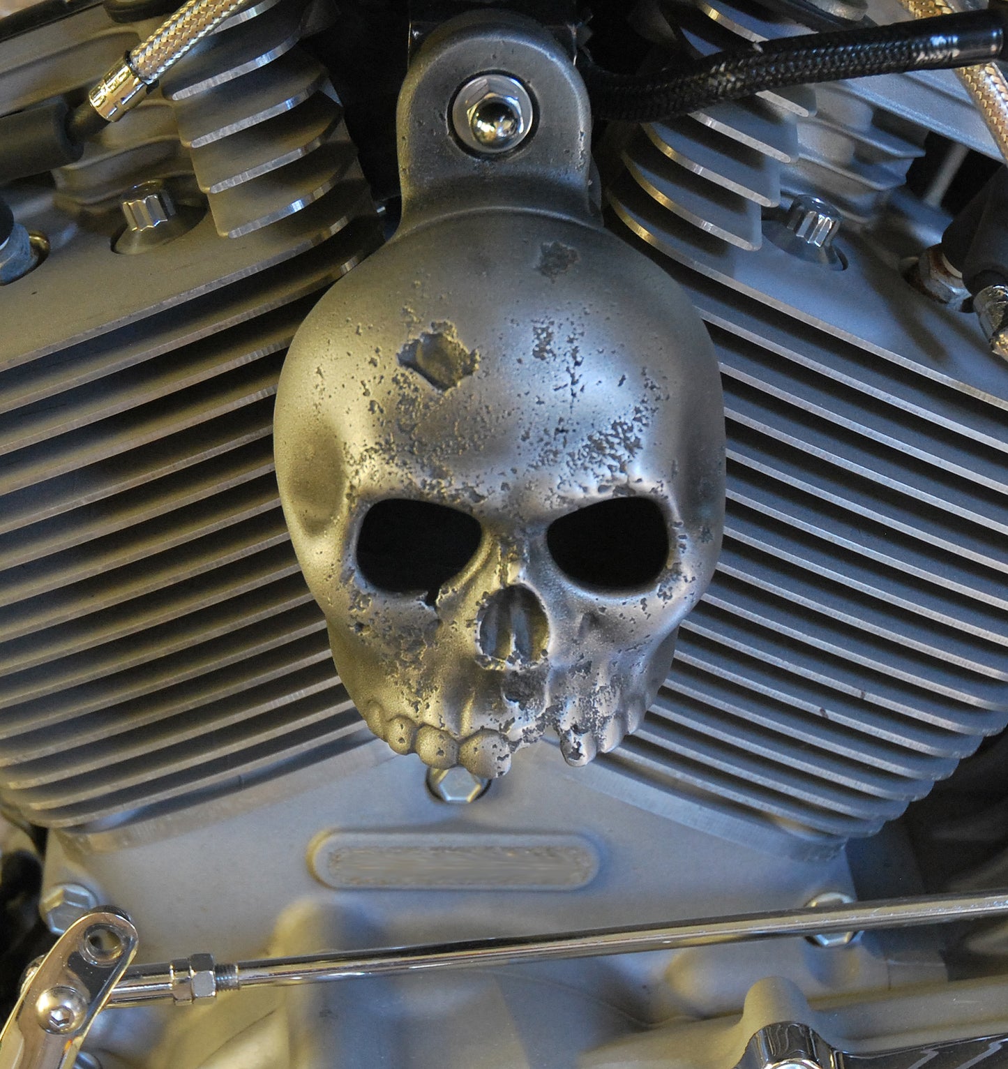 Rotten Kine Skull Harley Horn Cover #14