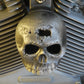 Rotten Kine Skull Harley Horn Cover #16