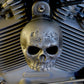 Rotten Kine Skull Harley Horn Cover #11