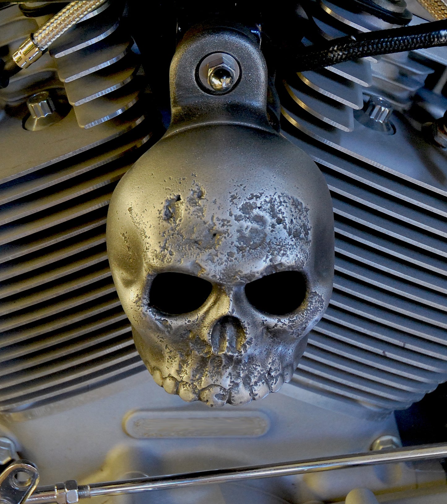 Rotten Kine Skull Harley Horn Cover #11