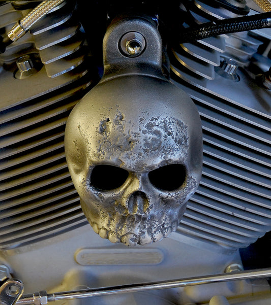 Rotten Kine Skull Harley Horn Cover #11