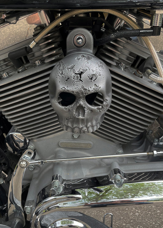 Rotten Kine Skull Harley Horn cover